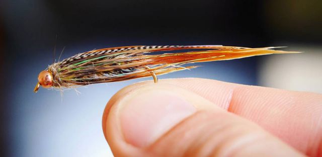 IMG 20170929 152605 912 (копия) IMG 20170929 152605 912 (копия)