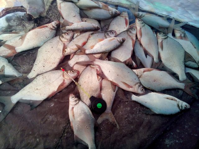 Фанерка Фанерка