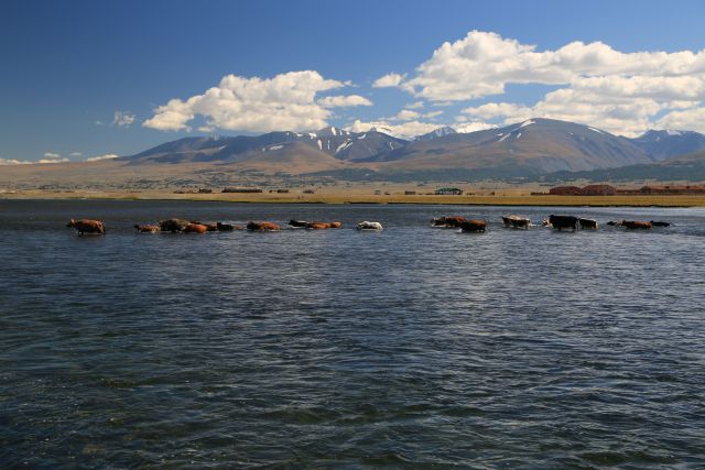 Идут по компасу