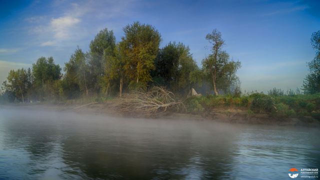 11автор AGAT 11автор AGAT