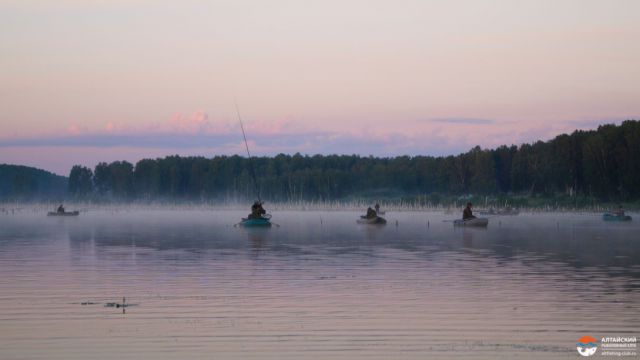 10автор AGAT 10автор AGAT