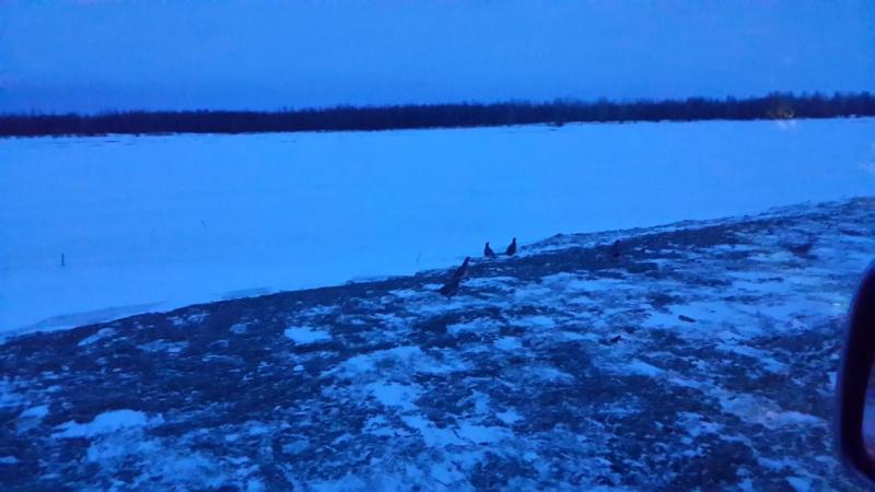 Прикрепленное изображение