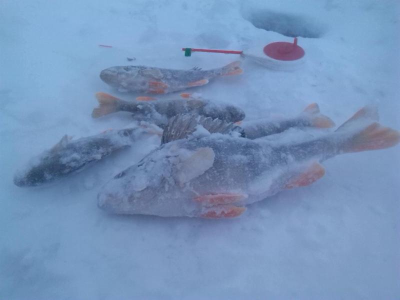 Прикрепленное изображение