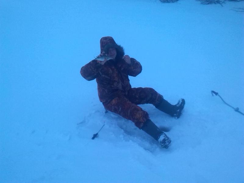 Прикрепленное изображение