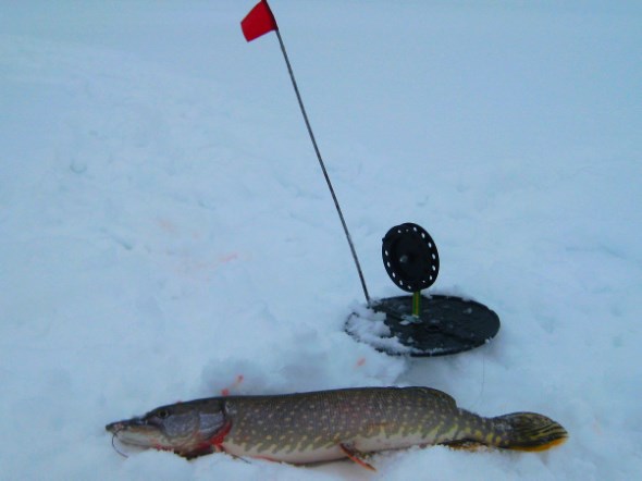 Прикрепленное изображение