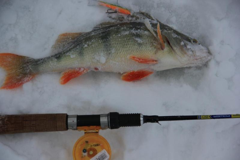 Прикрепленное изображение