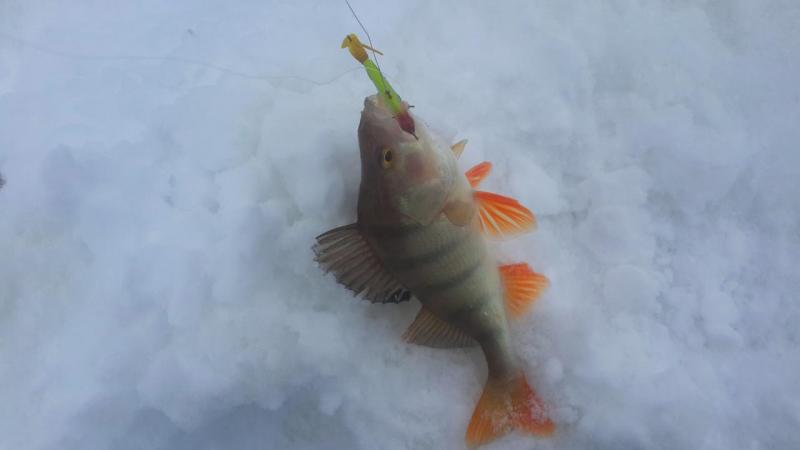 Прикрепленное изображение