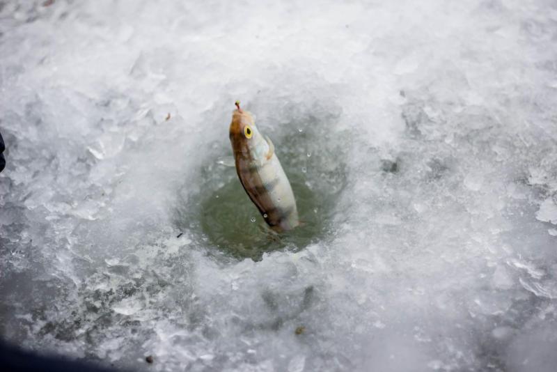 Прикрепленное изображение