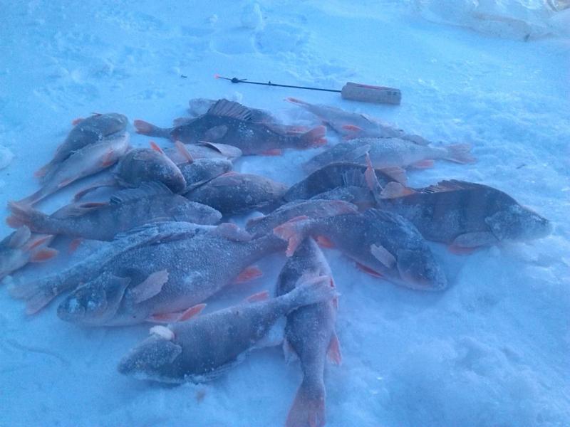 Прикрепленное изображение