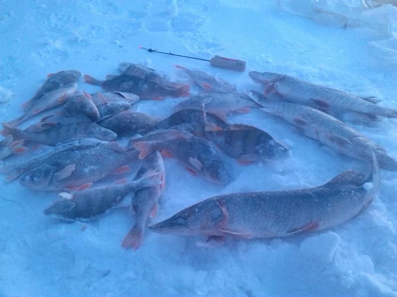 Прикрепленное изображение