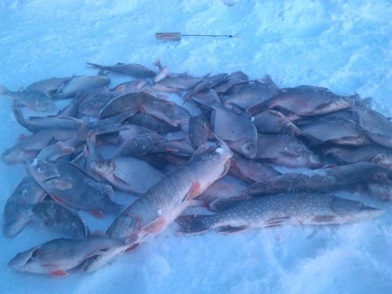 Прикрепленное изображение