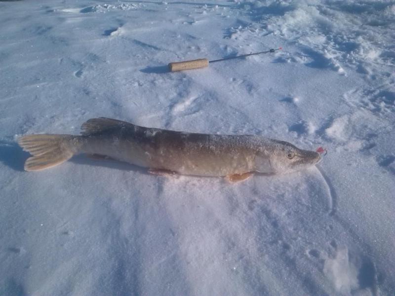 Прикрепленное изображение