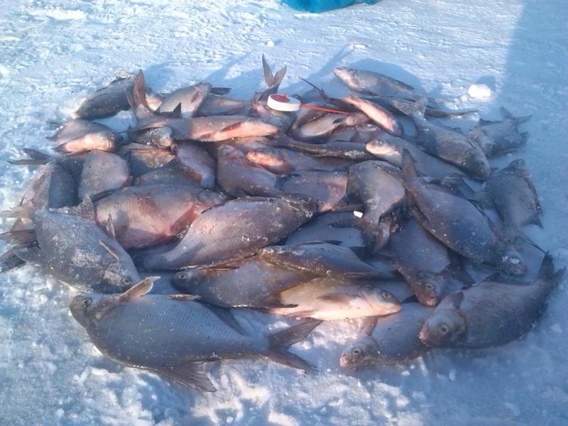 Прикрепленное изображение