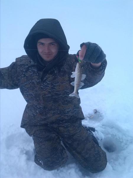 Прикрепленное изображение