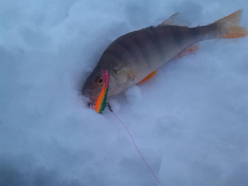 Прикрепленное изображение