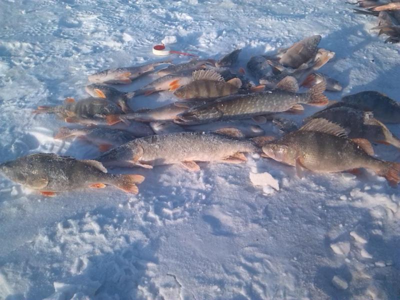 Прикрепленное изображение