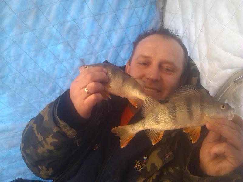 Прикрепленное изображение