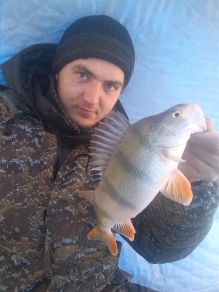 Прикрепленное изображение