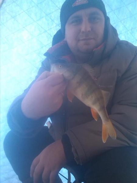 Прикрепленное изображение