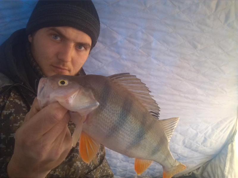 Прикрепленное изображение