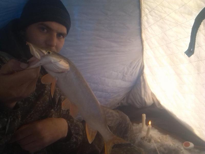 Прикрепленное изображение