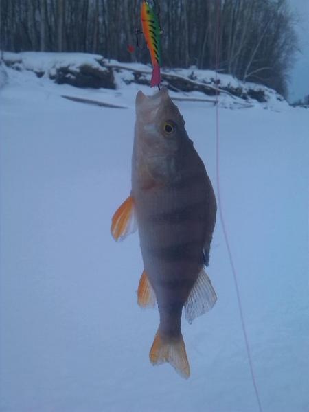 Прикрепленное изображение