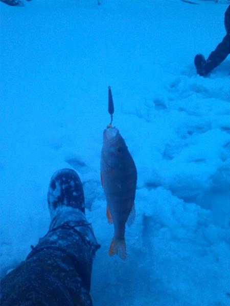 Прикрепленное изображение