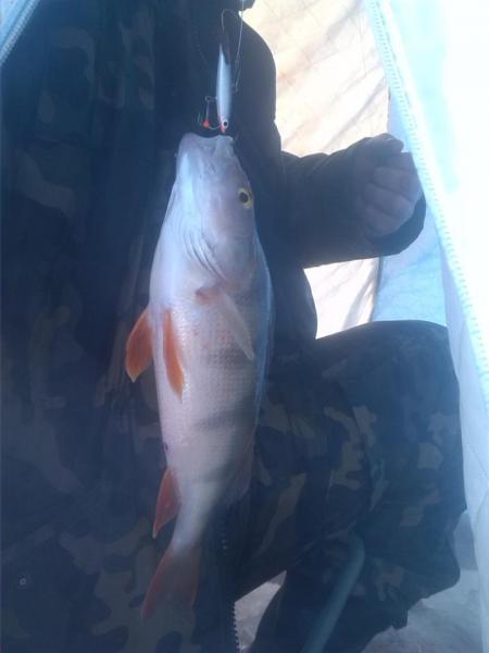 Прикрепленное изображение