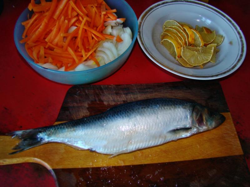 DSC07320.JPG