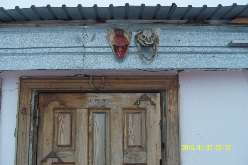 SNV89424.JPG