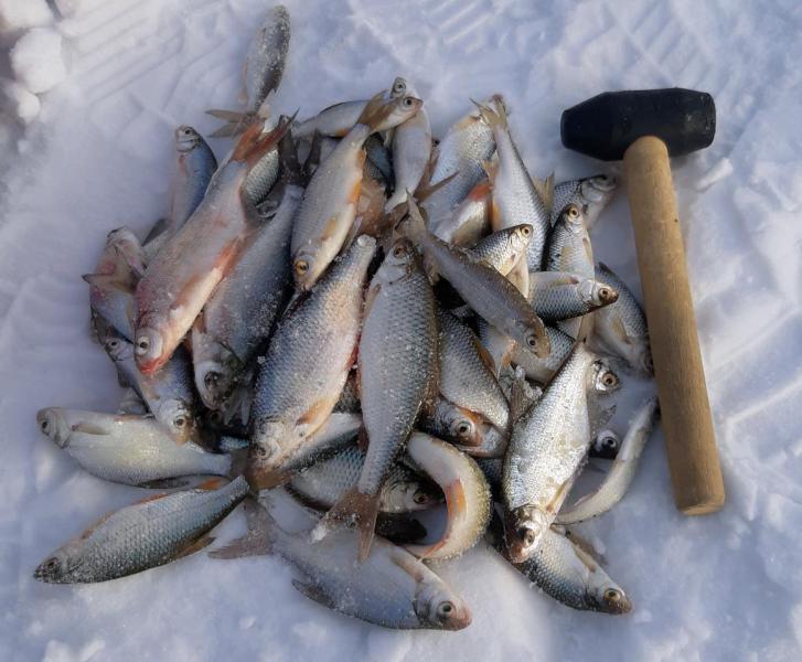 Прикрепленное изображение