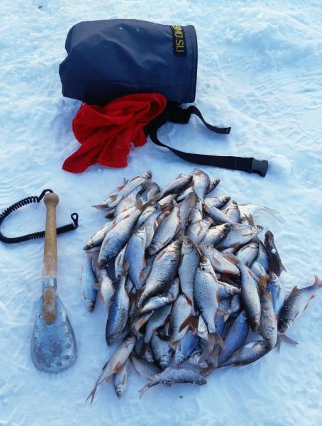 Прикрепленное изображение