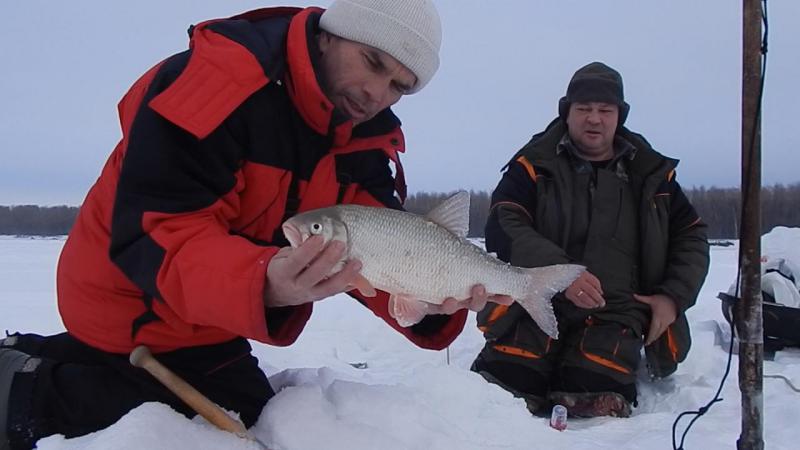 Эпизод 03.00_16_37_12.неподвижное изображение009.jpg