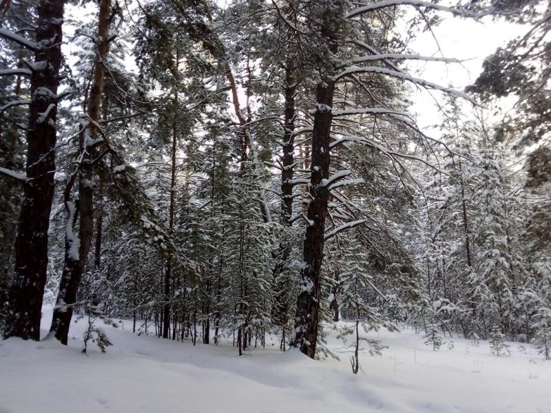 Прикрепленное изображение: IMG_20190106_104922.jpg