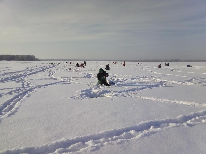 Прикрепленное изображение: IMG_20190106_121502.jpg