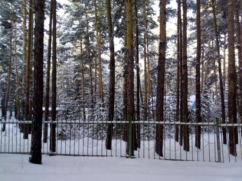 Прикрепленное изображение: IMG_20190106_105236.jpg