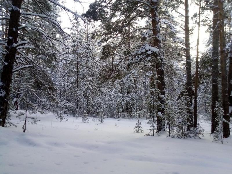 Прикрепленное изображение: IMG_20190106_104912.jpg