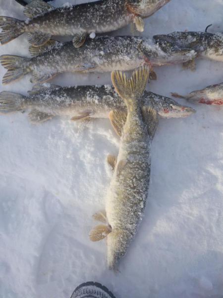 Прикрепленное изображение: P90119-153417.jpg