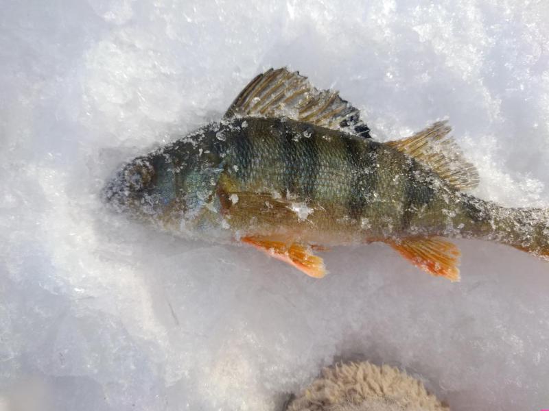 Прикрепленное изображение: P90119-122623.jpg