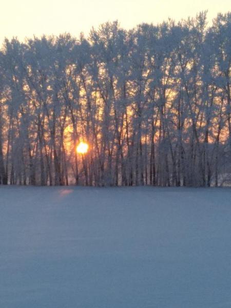 Прикрепленное изображение: P90103-170428.jpg