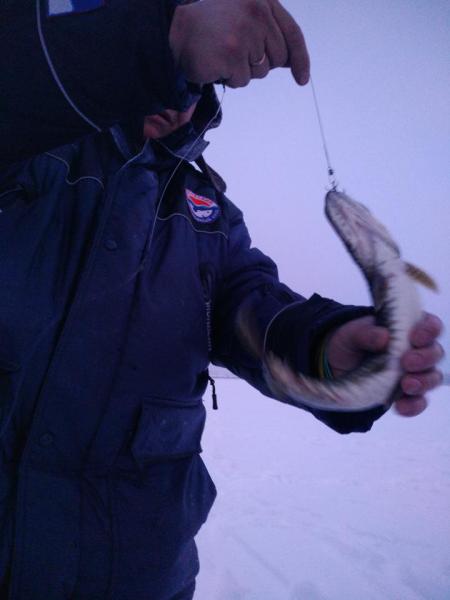 Прикрепленное изображение: P90119-090253.jpg