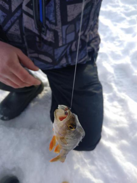 Прикрепленное изображение: P90119-122347.jpg