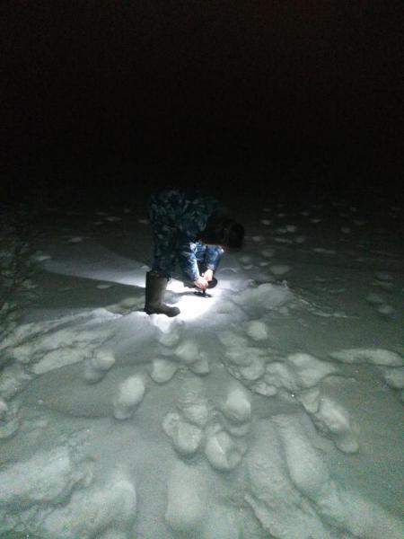 Прикрепленное изображение: P90119-073323.jpg