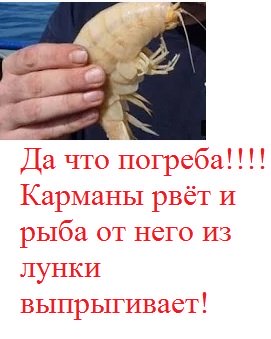 Мормыш.jpg