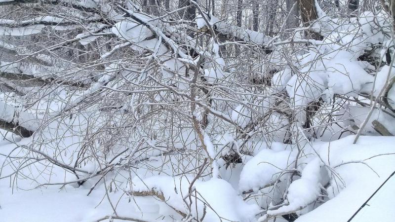 20190101_103811.jpg