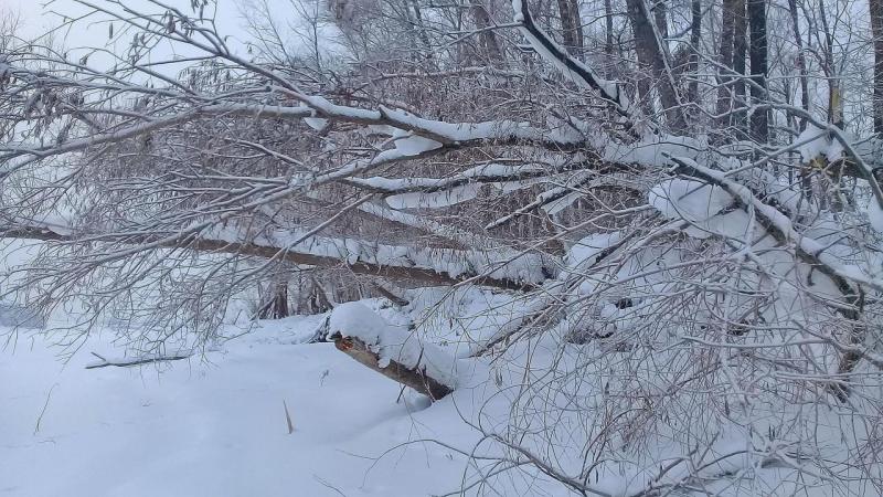 20190101_103821.jpg