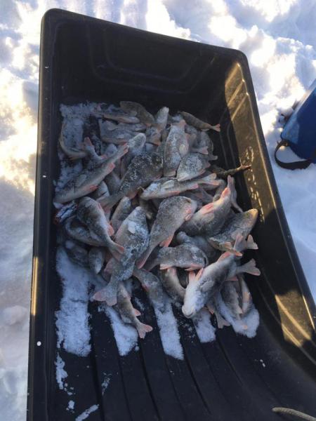 IMG-20190108-WA0013.jpg