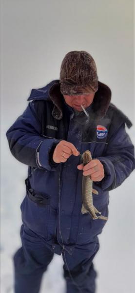 Прикрепленное изображение