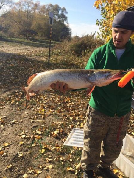 Прикрепленное изображение: ccs-3664-0-98678100-1577846048_thumb.jpg