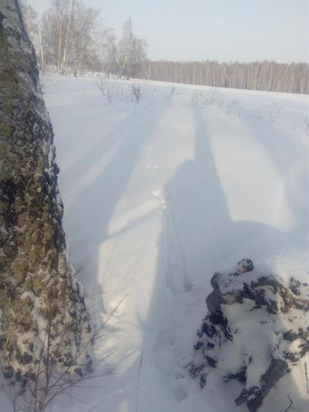 IMG_20200121_142119.jpg
